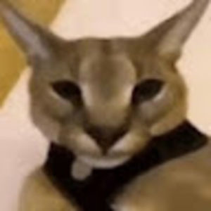 Meet your Posher, Galil